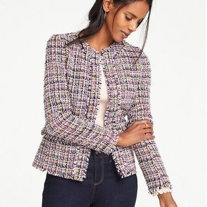 Ann Taylor Fringe Tweed Peplum Jacket